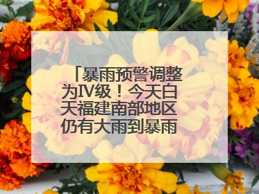 暴雨预警调整为Ⅳ级！今天白天福建南部地区仍有大雨到暴雨，注意防范