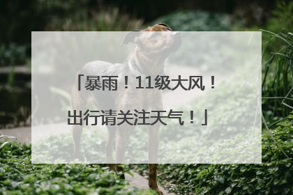 暴雨！11级大风！出行请关注天气！