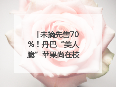 未摘先售70%！丹巴“美人脆”苹果尚在枝头就被预订｜长征路上看四川