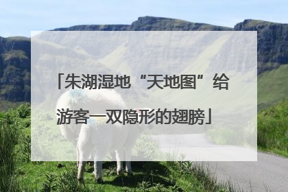 朱湖湿地“天地图”给游客一双隐形的翅膀