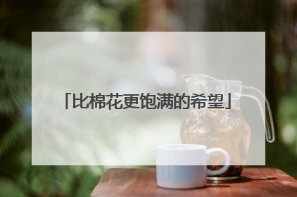 比棉花更饱满的希望