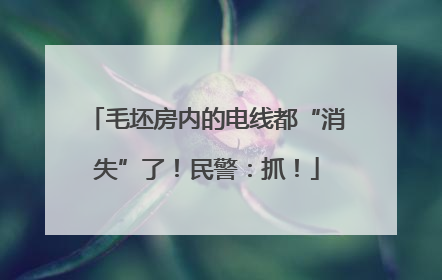 毛坯房内的电线都“消失”了！民警：抓！