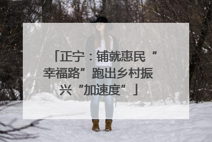 正宁：铺就惠民“幸福路”跑出乡村振兴“加速度”