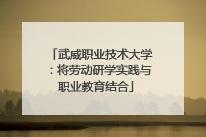 武威职业技术大学：将劳动研学实践与职业教育结合