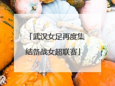 武汉女足再度集结备战女超联赛