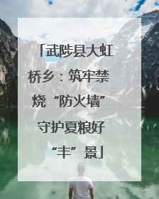武陟县大虹桥乡：筑牢禁烧“防火墙” 守护夏粮好“丰”景