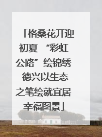 格桑花开迎初夏 “彩虹公路”绘锦绣 德兴以生态之笔绘就宜居幸福图景