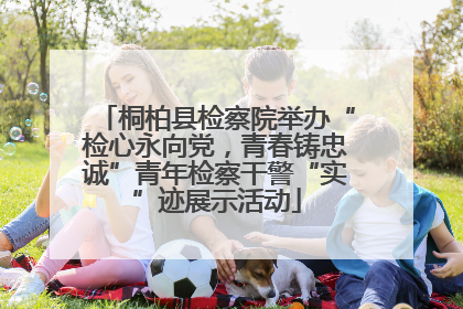 桐柏县检察院举办“检心永向党，青春铸忠诚”青年检察干警“实”迹展示活动