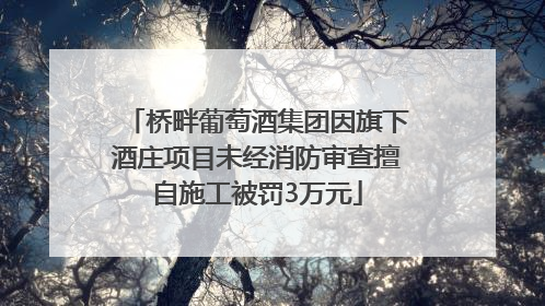 桥畔葡萄酒集团因旗下酒庄项目未经消防审查擅自施工被罚3万元