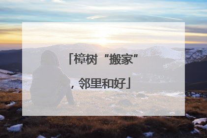 樟树“搬家”，邻里和好
