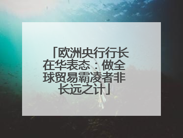欧洲央行行长在华表态：做全球贸易霸凌者非长远之计