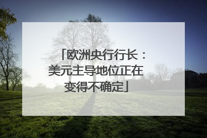 欧洲央行行长：美元主导地位正在变得不确定