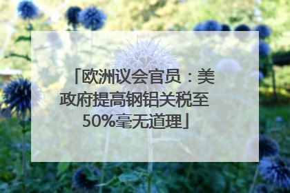 欧洲议会官员：美政府提高钢铝关税至50%毫无道理