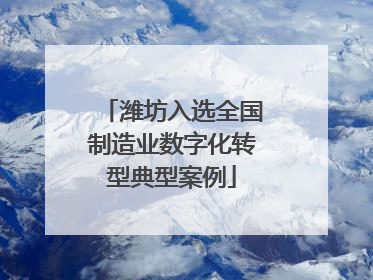 潍坊入选全国制造业数字化转型典型案例