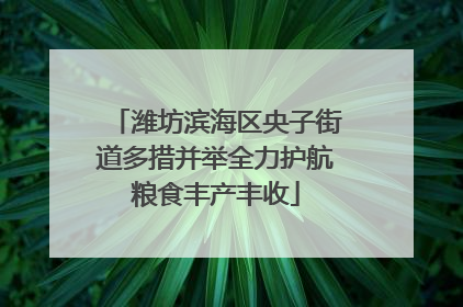 潍坊滨海区央子街道多措并举全力护航粮食丰产丰收