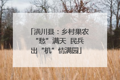 潢川县：乡村果农“愁”满天  民兵出“机”情满园
