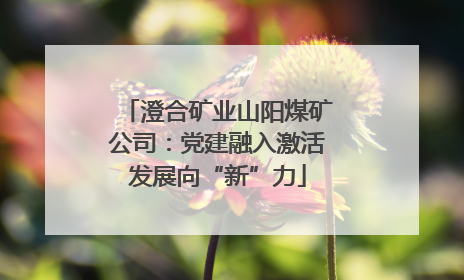 澄合矿业山阳煤矿公司：党建融入激活发展向“新”力