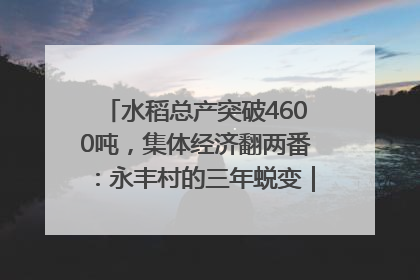 水稻总产突破4600吨，集体经济翻两番：永丰村的三年蜕变｜您牵挂的四川