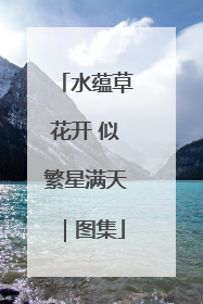 水蕴草花开 似繁星满天｜图集