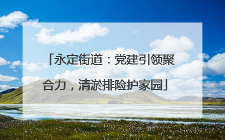 永定街道：党建引领聚合力，清淤排险护家园
