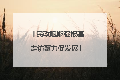 民政赋能强根基 走访聚力促发展