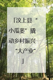 汶上县“小瓜蒌”撬动乡村振兴“大产业”