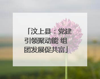汶上县：党建引领聚动能 组团发展促共富