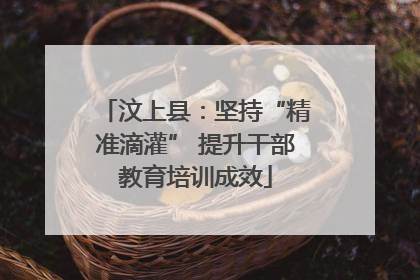 汶上县：坚持“精准滴灌” 提升干部教育培训成效