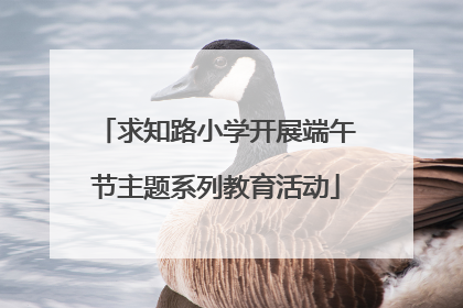 求知路小学开展端午节主题系列教育活动