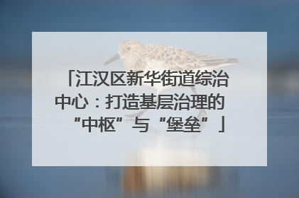 江汉区新华街道综治中心：打造基层治理的“中枢”与“堡垒”