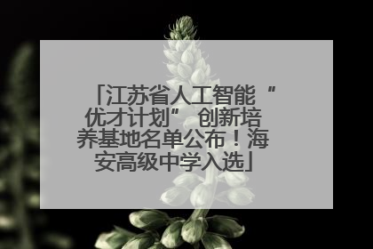 江苏省人工智能“优才计划” 创新培养基地名单公布！海安高级中学入选