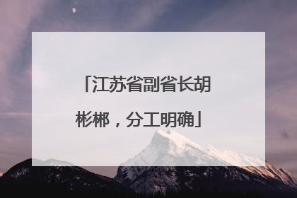 江苏省副省长胡彬郴，分工明确
