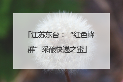 江苏东台：“红色蜂群”采酿快递之蜜