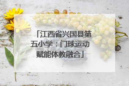 江西省兴国县第五小学：门球运动赋能体教融合