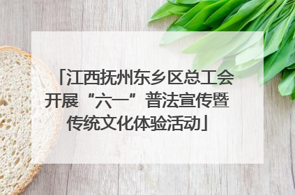 江西抚州东乡区总工会开展“六一”普法宣传暨传统文化体验活动
