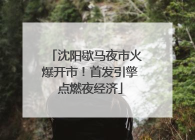 沈阳歇马夜市火爆开市！首发引擎点燃夜经济