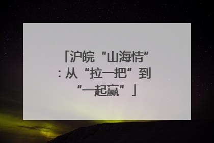 沪皖“山海情”：从“拉一把”到“一起赢”