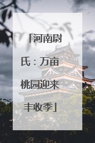 河南尉氏：万亩桃园迎来丰收季