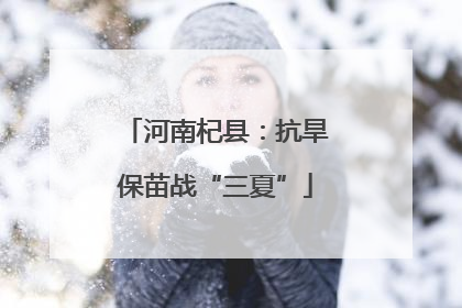 河南杞县：抗旱保苗战“三夏”