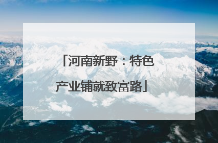 河南新野：特色产业铺就致富路