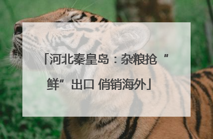 河北秦皇岛：杂粮抢“鲜”出口 俏销海外