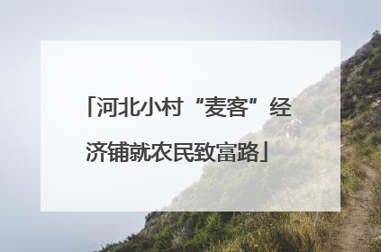 河北小村“麦客”经济铺就农民致富路