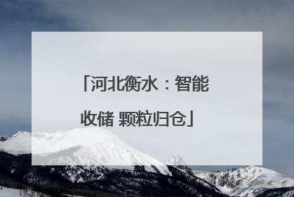 河北衡水：智能收储 颗粒归仓