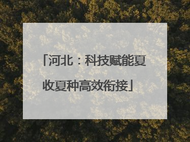河北：科技赋能夏收夏种高效衔接