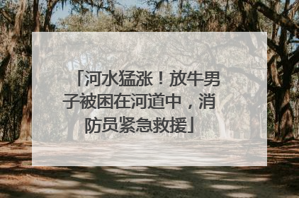 河水猛涨！放牛男子被困在河道中，消防员紧急救援