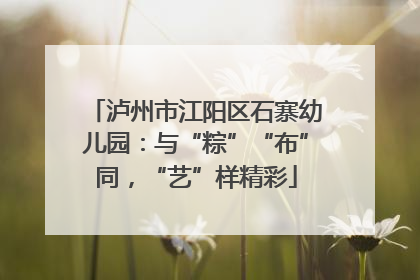 泸州市江阳区石寨幼儿园：与“粽”“布”同，“艺”样精彩