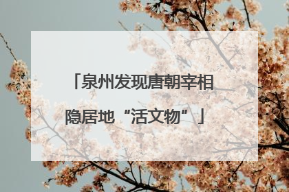 泉州发现唐朝宰相隐居地“活文物”