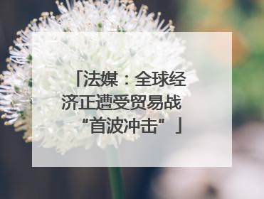 法媒：全球经济正遭受贸易战“首波冲击”