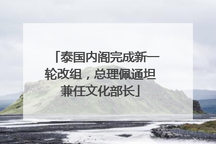 泰国内阁完成新一轮改组，总理佩通坦兼任文化部长