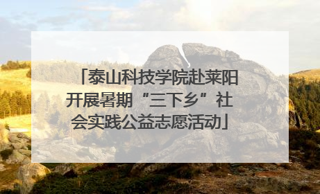 泰山科技学院赴莱阳开展暑期“三下乡”社会实践公益志愿活动